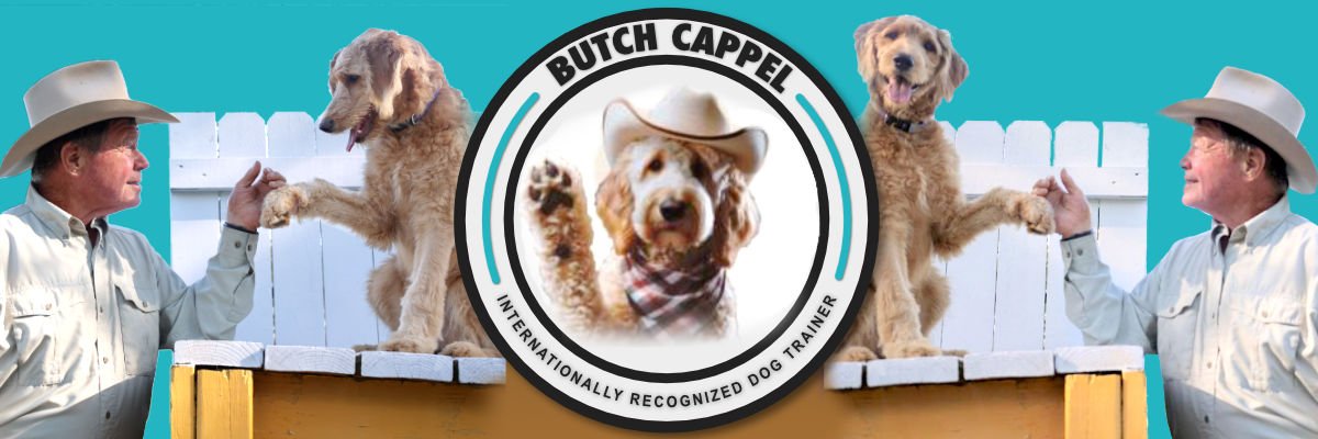 Butch Cappel Internationally Recognized Dog Trainer